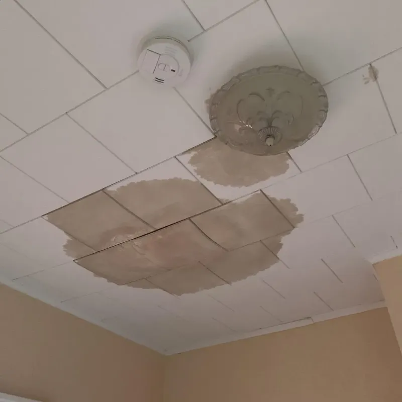 Ceiling Water Damage Repair in Jefferson County, NE