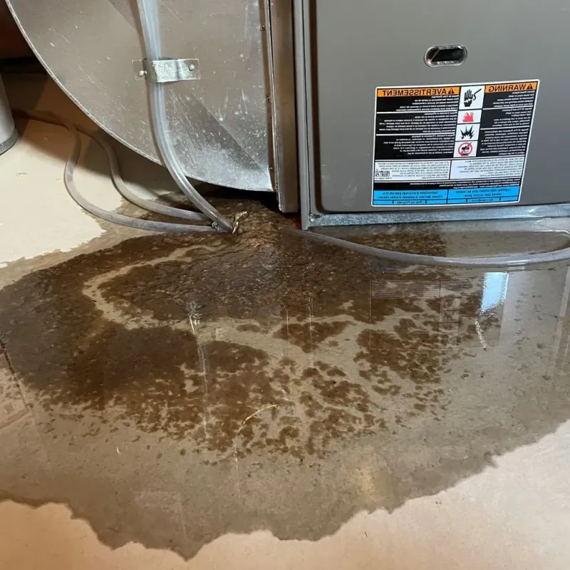 Pipe Burst and Leak Restoration in Jefferson County, NE