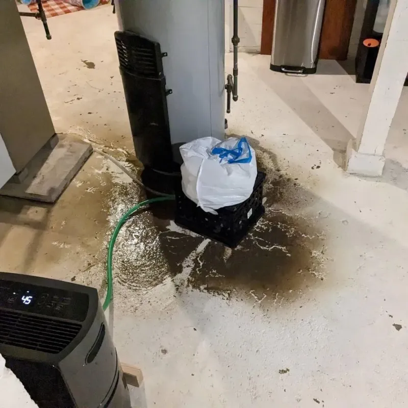 Sewage Backup Cleanup Service in Jefferson County, NE
